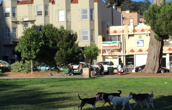 Dog Play Area Advocates Retreat From Washington Square Playground Proposal