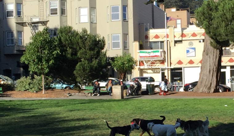 Dog Play Area Advocates Retreat From Washington Square Playground Proposal