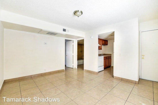 What's the cheapest rental available in Camelback East, right now?