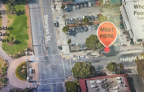 Upper Haight Public Realm Update: Surveys, Community Meetings, And A Tree Walk