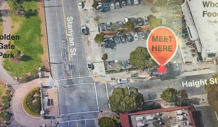 Upper Haight Public Realm Update: Surveys, Community Meetings, And A Tree Walk