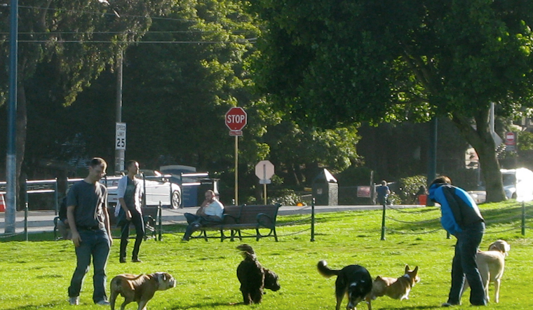 Rumors Of Poisoned Dog-Park Meatballs Return, This Time In Duboce Park