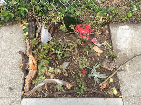 Guerrilla Garden Booted From DMV, Moved To Oak Street