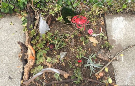 Guerrilla Garden Booted From DMV, Moved To Oak Street
