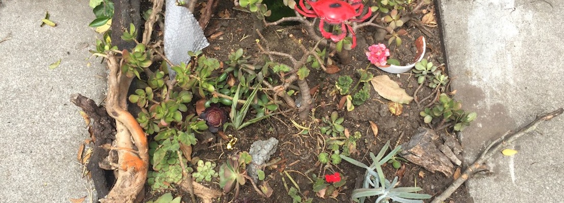 Guerrilla Garden Booted From DMV, Moved To Oak Street