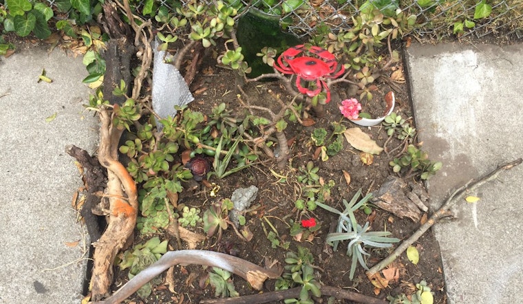 Guerrilla Garden Booted From DMV, Moved To Oak Street
