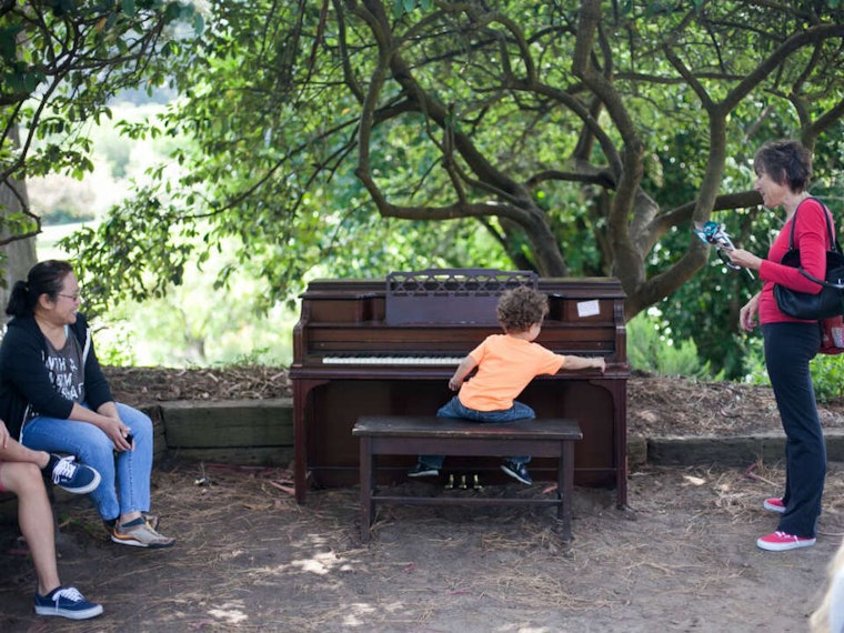 12 Playable 'Flower Pianos' Return To SF Botanical Garden Today