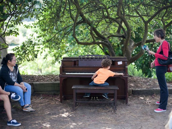 12 Playable 'Flower Pianos' Return To SF Botanical Garden Today