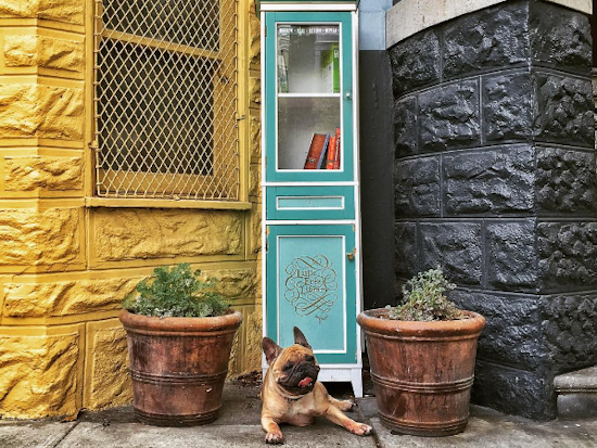 Duboce Triangle's Little Free Library Calls It Quits