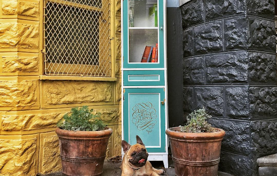 Duboce Triangle's Little Free Library Calls It Quits