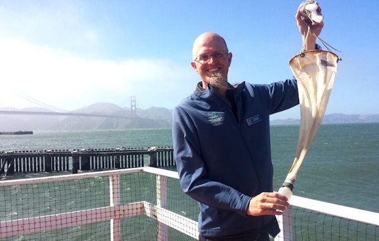 Tomorrow: Explore Invisible Oceans With 'Plankton On The Pier'