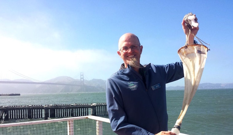 Tomorrow: Explore Invisible Oceans With 'Plankton On The Pier'