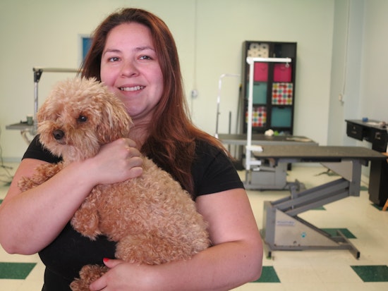 Inside West Portal's The Pawber Shop, Keeping Dogs In Style Since 2010