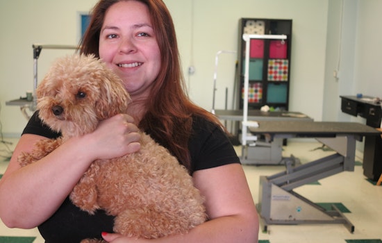 Inside West Portal's The Pawber Shop, Keeping Dogs In Style Since 2010