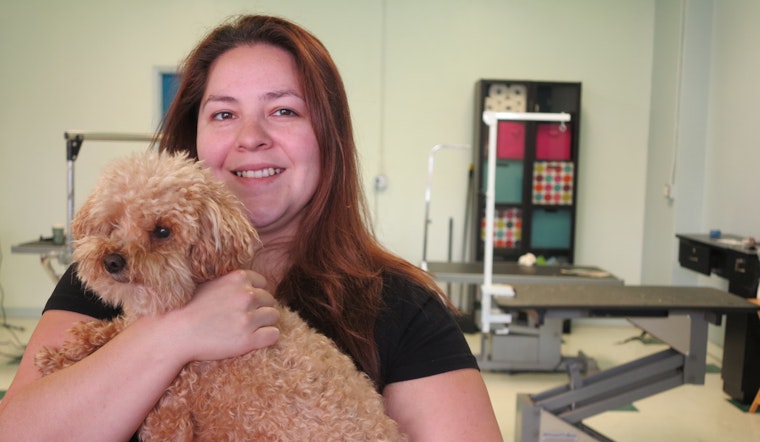 Inside West Portal's The Pawber Shop, Keeping Dogs In Style Since 2010