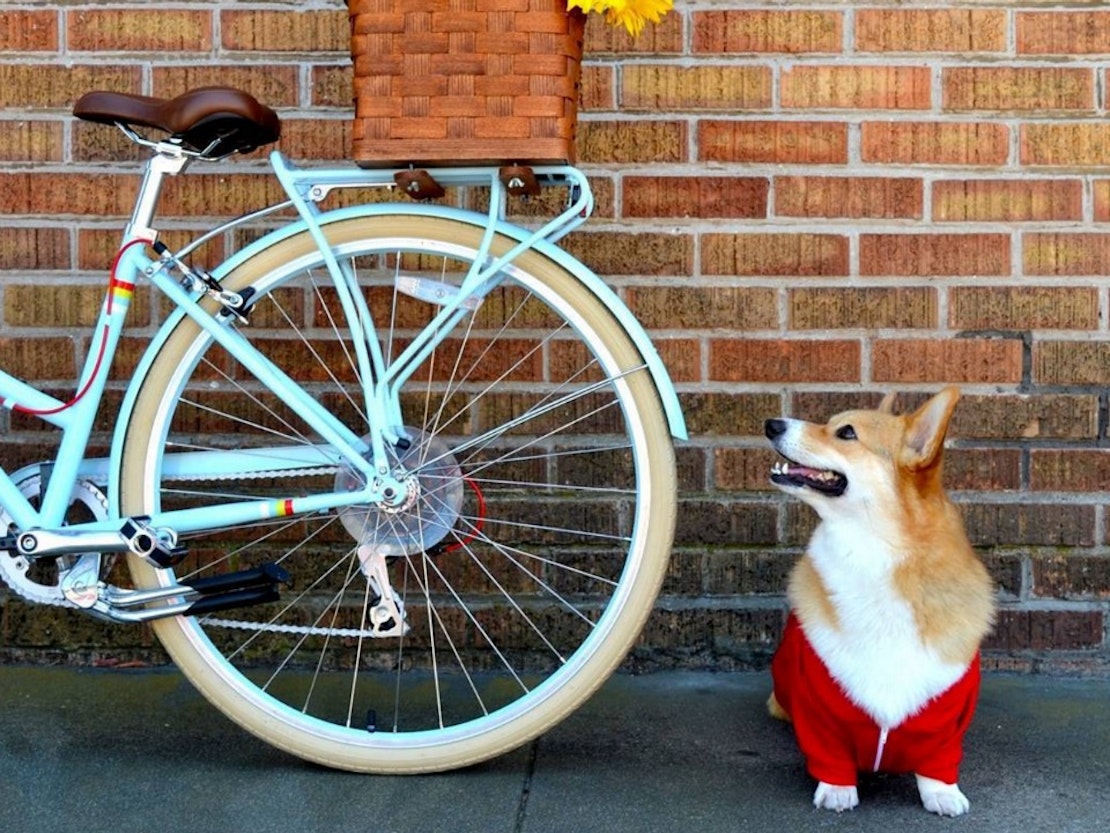 Event Spotlight: 'Raise The Woof' At PUBLIC Bikes This Saturday