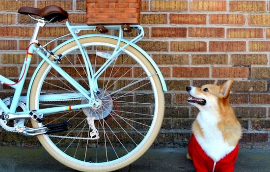 Event Spotlight: 'Raise The Woof' At PUBLIC Bikes This Saturday