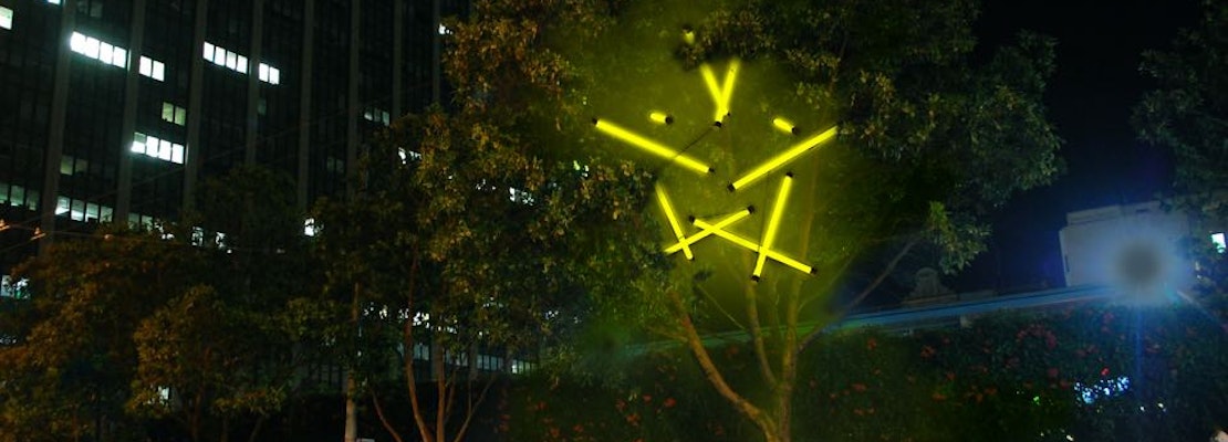 Larkin Street Trees May Soon Glow With Sound-Responsive Light Installations