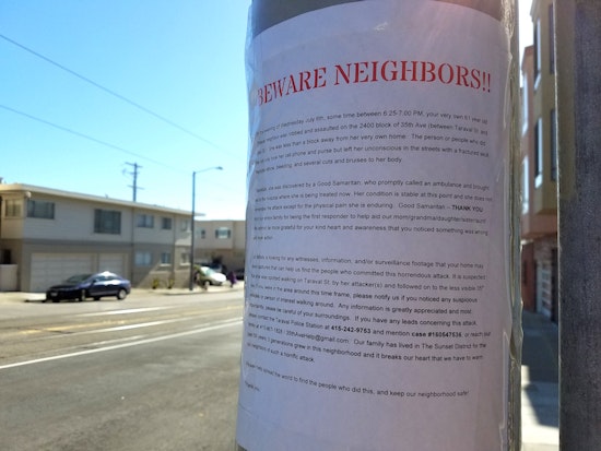 Outer Sunset Family Seeks Information Following Woman's Violent Mugging
