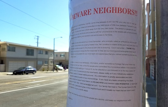 Outer Sunset Family Seeks Information Following Woman's Violent Mugging