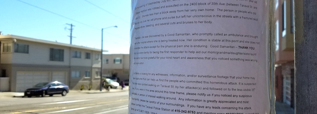 Outer Sunset Family Seeks Information Following Woman's Violent Mugging