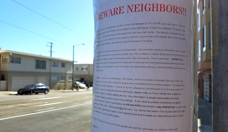 Outer Sunset Family Seeks Information Following Woman's Violent Mugging