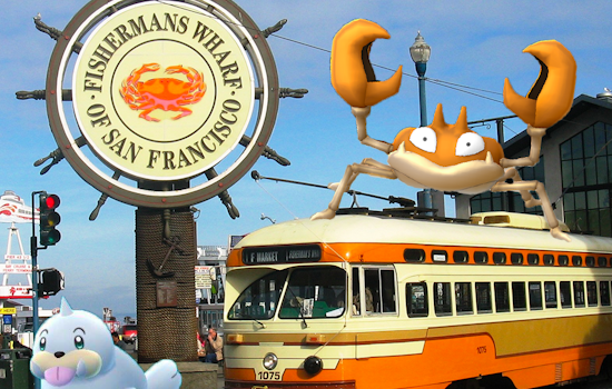 Huge Crowds Expected For Fisherman's Wharf Pokémon Go Crawl