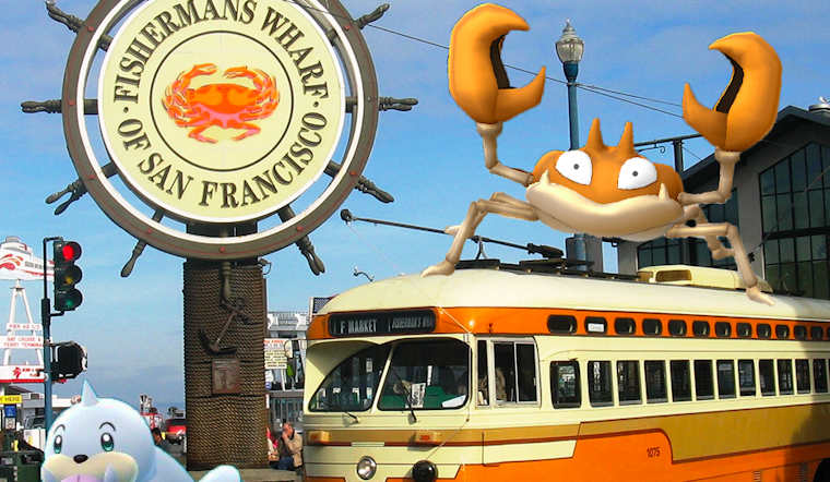 Huge Crowds Expected For Fisherman's Wharf Pokémon Go Crawl
