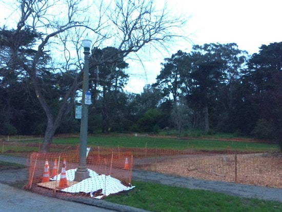 Golden Gate Park's Peacock Meadow closes for irrigation update