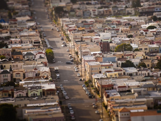 Outer Sunset Week: Wild Cat Weekend At The Zoo, 'The Music of William Onyeabor,' More