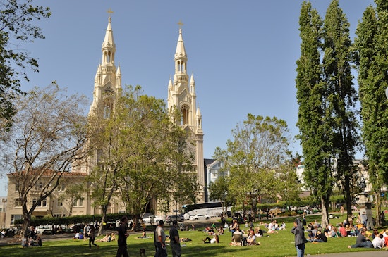Woman Critically Injured By Falling Tree Branch In Washington Square Park