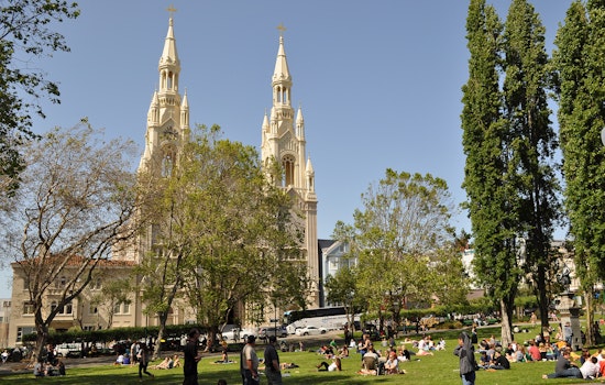 Woman Critically Injured By Falling Tree Branch In Washington Square Park