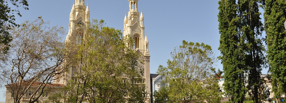 Woman Critically Injured By Falling Tree Branch In Washington Square Park