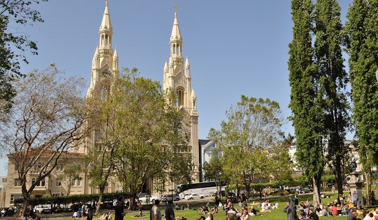 Woman Critically Injured By Falling Tree Branch In Washington Square Park