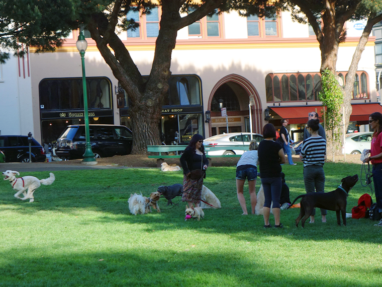 North Beach Week: Salesian Beer & Food Fest, Festival of the Sea, Fire/Police Reserve Volunteer Day
