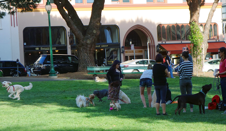 North Beach Week: Salesian Beer & Food Fest, Festival of the Sea, Fire/Police Reserve Volunteer Day