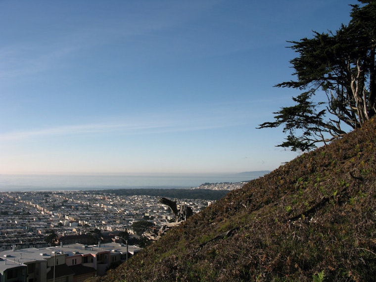 Outer Sunset Week: Kronnerburger At Lawton Trading Post, The New Pornographers At Stern Grove