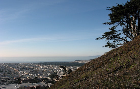 Outer Sunset Week: Kronnerburger At Lawton Trading Post, The New Pornographers At Stern Grove