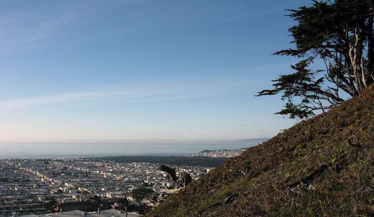 Outer Sunset Week: Kronnerburger At Lawton Trading Post, The New Pornographers At Stern Grove