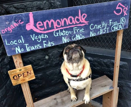 Duboce Triangle's Beloved 'Noe So Cute' Lemonade Stand Stolen, Recovered [Updated]