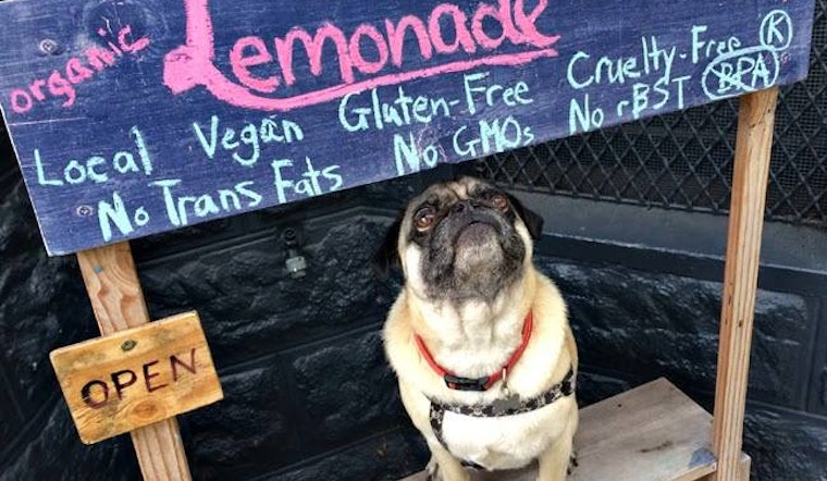 Duboce Triangle's Beloved 'Noe So Cute' Lemonade Stand Stolen, Recovered [Updated]