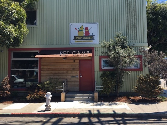 Not Built For Humans: A Visit To Pet Camp, The Bayview's Pet Boarding Specialist