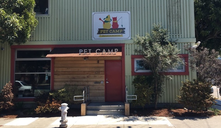 Not Built For Humans: A Visit To Pet Camp, The Bayview's Pet Boarding Specialist
