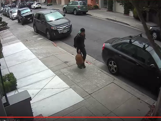 Police Seek Marina Auto Burglar Caught On Camera