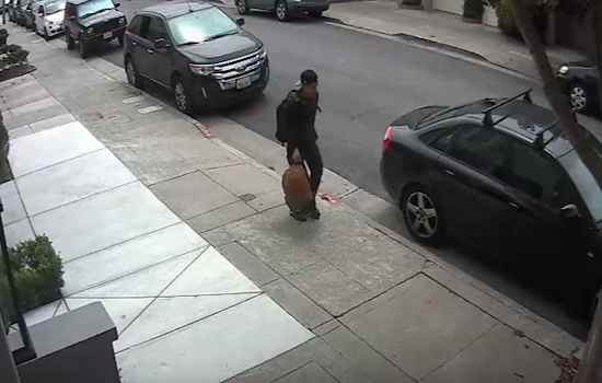 Police Seek Marina Auto Burglar Caught On Camera