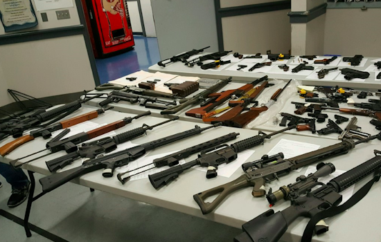 Man's 'Psychotic Breakdown' Leads To Seizure Of 57 Guns From Cow Hollow Home