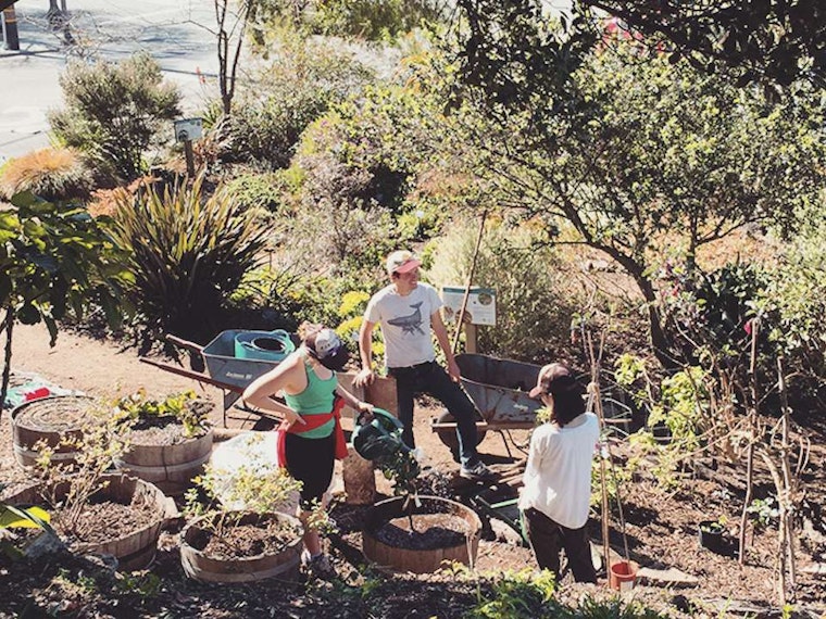 Inner Sunset Week: Fall Garden Party, Sunday Street Party Returns, Sex & Science Lit Events, More