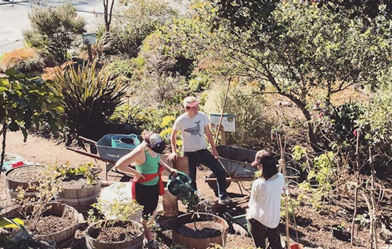 Inner Sunset Week: Fall Garden Party, Sunday Street Party Returns, Sex & Science Lit Events, More