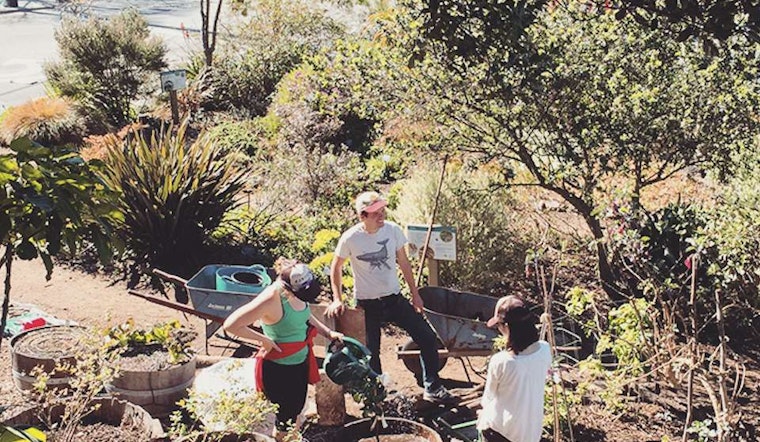Inner Sunset Week: Fall Garden Party, Sunday Street Party Returns, Sex & Science Lit Events, More