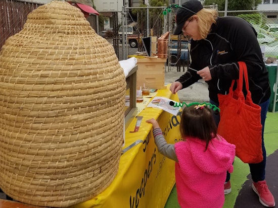 Protecting Pollinators: San Francisco Sets Sights On 'Bee City' Designation